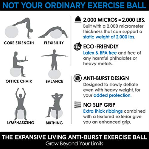EXPANSIVE LIVING Exercise Ball (Red, 65cm) - 2,000 lbs Stability Ball. Anti Burst & Heavy Duty for Yoga, Balance and Birthing. Physio Ball | Office Chair | Professional Grade Swiss Ball