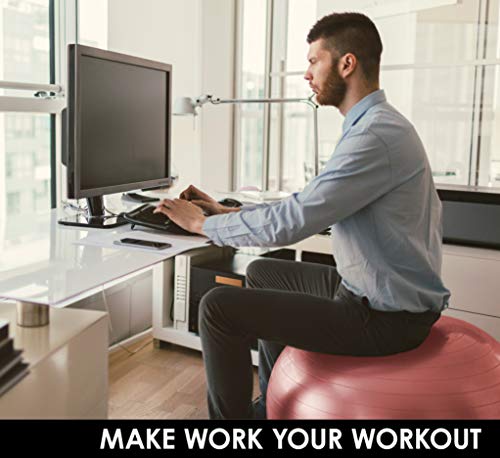 EXPANSIVE LIVING Exercise Ball (Red, 65cm) - 2,000 lbs Stability Ball. Anti Burst & Heavy Duty for Yoga, Balance and Birthing. Physio Ball | Office Chair | Professional Grade Swiss Ball