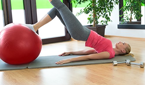 EXPANSIVE LIVING Exercise Ball (Red, 65cm) - 2,000 lbs Stability Ball. Anti Burst & Heavy Duty for Yoga, Balance and Birthing. Physio Ball | Office Chair | Professional Grade Swiss Ball