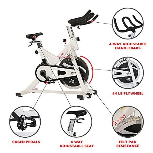 Sunny Indoor Cycling Bike for Weight Loss