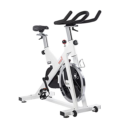 Sunny Indoor Cycling Bike for Weight Loss