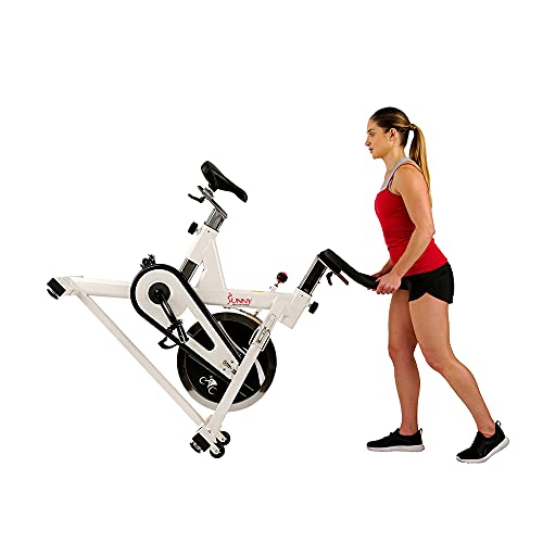 Sunny Indoor Cycling Bike for Weight Loss