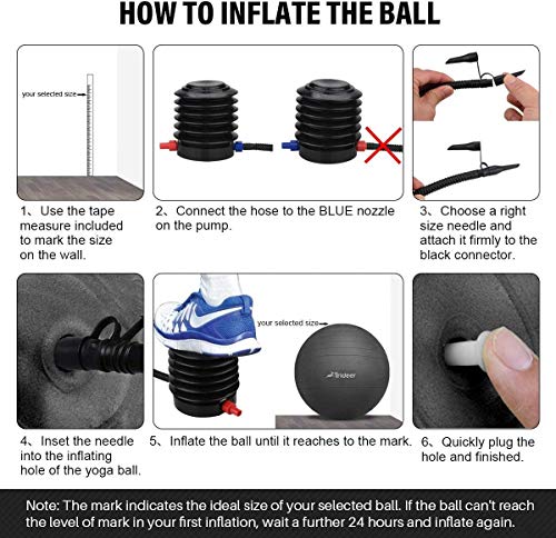 Trideer Exercise Ball (Fuchsia, M(48-55cm))