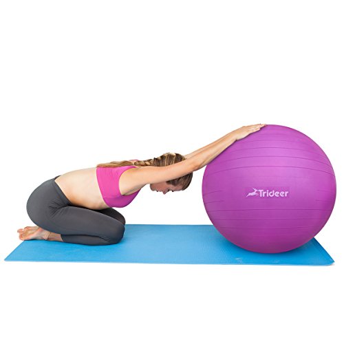 Trideer Yoga Ball Exercise Ball