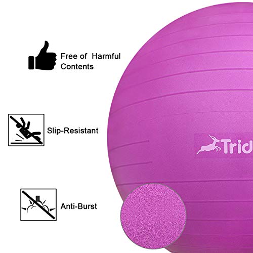 Trideer Yoga Ball Exercise Ball