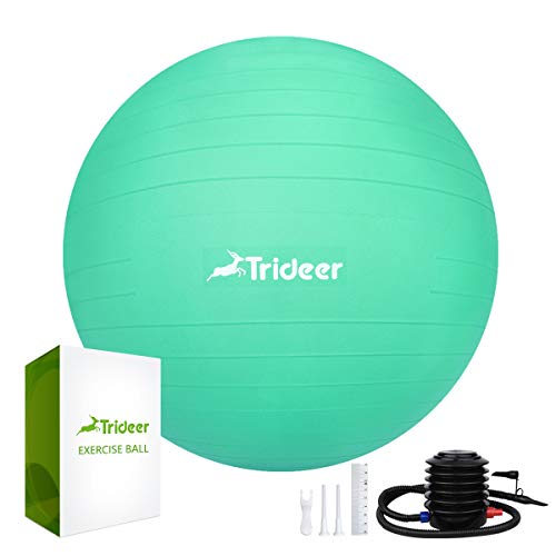 Trideer Yoga Ball Exercise Ball