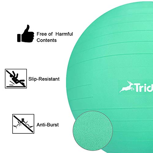 Trideer Yoga Ball Exercise Ball