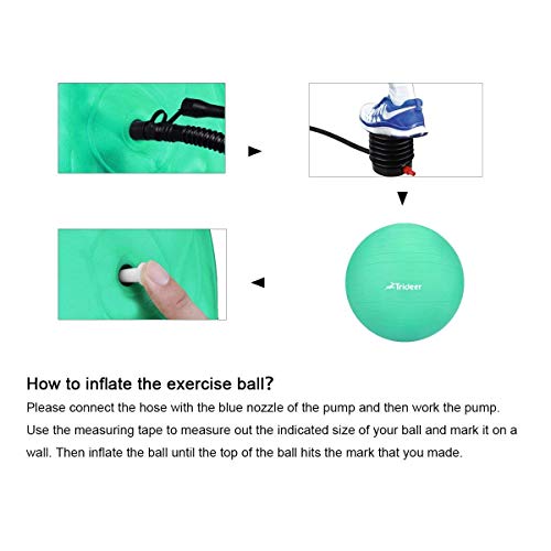 Trideer Yoga Ball Exercise Ball