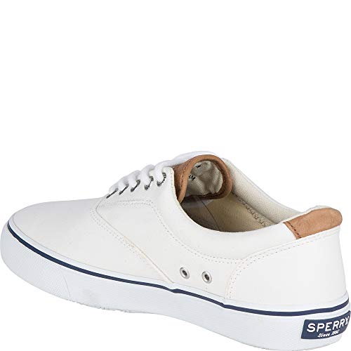 Sperry Mens Striper LL CVO Sneaker, White, 9