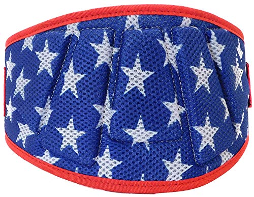 Fire Team Fit Weightlifting Belts, Weight Belt, Weight Lifting Belt for Men and Women, 6 Inch, Back Support for Lifting, Squat and Deadlifting Belt (Stars, 32" - 38" Around Navel, Medium)