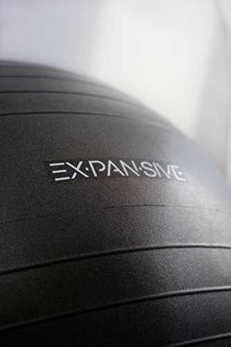 EXPANSIVE LIVING Exercise Ball (Black, 55cm) - 2,000 lbs Stability Ball. Anti Burst & Heavy Duty for Yoga, Balance and Birthing. Physio Ball | Office Chair | Professional Grade Swiss Ball