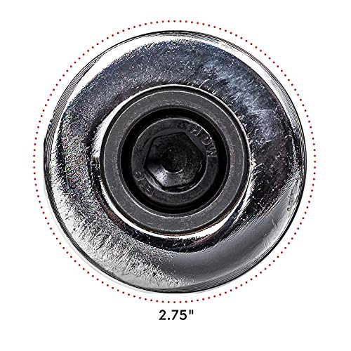 Body-Solid Chrome Olympic 47" Curl Bar