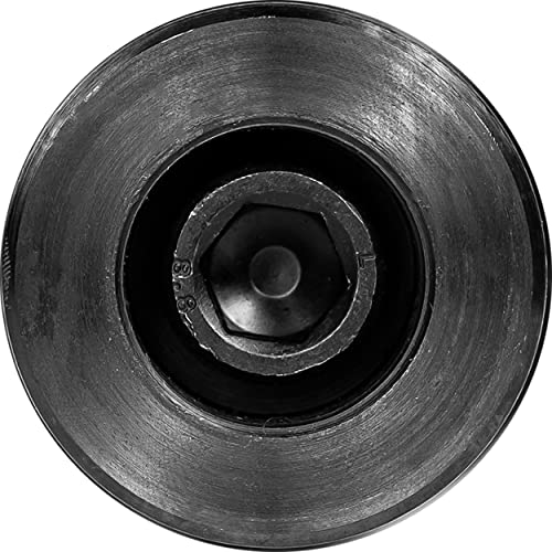 Body-Solid Olympic EZ Curl Bar - 2 Inch: Heavy-Duty Weightlifting Barbell for Bicep, Tricep & Arm Workouts at Home & in The Gym