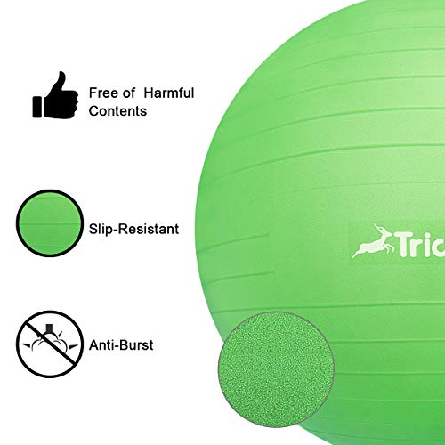 Trideer Ball Chair – Exercise Stability Yoga Ball with Base for Home and Office Desk, Ball Seat, Flexible Seating with Ring & Pump, Improves Balance, Back Pain, Core Strength & Posture（Ball with Ring