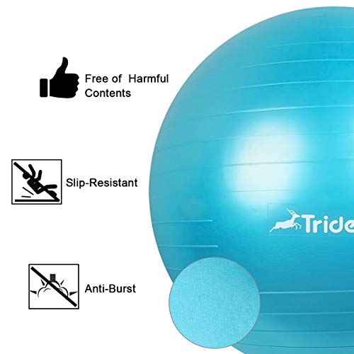 Trideer Exercise Ball, Yoga Ball, Birthing Ball with Quick Pump, Anti-Burst & Extra Thick, Heavy Duty Ball Chair, Stability Ball Supports 2200lbs (Office&Home) (Turkis, XL (68-75cm))