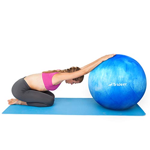 Trideer Exercise Ball (Multiple Color), Yoga Ball, Birthing Ball with Quick Pump, Anti-Burst & Extra Thick, Heavy Duty Ball Chair, Stability Ball Supports 2200lbs (B#White&Blue, L (58-65cm))