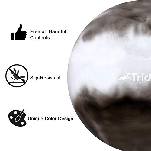 Trideer Exercise Ball (Multiple Sizes), Yoga Ball, Birthing Ball with Quick Pump, Anti-Burst & Extra Thick, Heavy Duty Ball Chair, Stability Ball Supports 2200lbs (Grey&White)