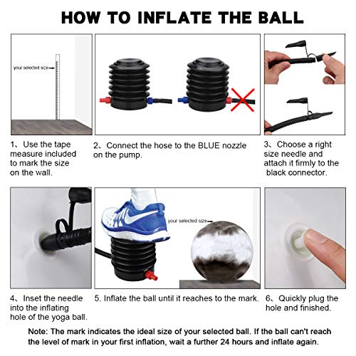 Trideer Exercise Ball (Multiple Sizes), Yoga Ball, Birthing Ball with Quick Pump, Anti-Burst & Extra Thick, Heavy Duty Ball Chair, Stability Ball Supports 2200lbs (Grey&White)