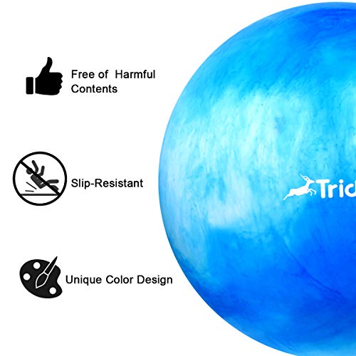 Trideer Exercise Ball (Multiple Color), Yoga Ball, Birthing Ball with Quick Pump, Anti-Burst & Extra Thick, Heavy Duty Ball Chair, Stability Ball Supports 2200lbs (B#White&Blue, M (48-55cm))