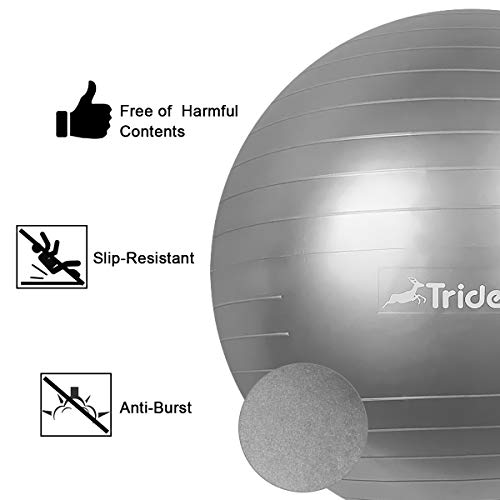 Trideer Exercise Ball (45-85cm) Extra Thick Yoga Ball Chair, Anti-Burst Heavy Duty Stability Ball Supports 2200lbs, Birthing Ball with Quick Pump (Office & Home & Gym)