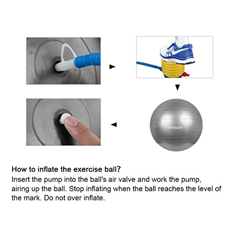 Trideer Exercise Ball (45-85cm) Extra Thick Yoga Ball Chair, Anti-Burst Heavy Duty Stability Ball Supports 2200lbs, Birthing Ball with Quick Pump (Office & Home & Gym)