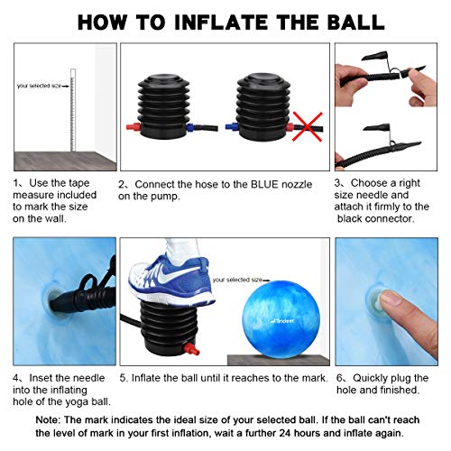 Trideer Exercise Ball (Multiple Color), Yoga Ball, Birthing Ball with Quick Pump, Anti-Burst & Extra Thick, Heavy Duty Ball Chair, Stability Ball Supports 2200lbs (B#White&Blue, XL (68-75cm))