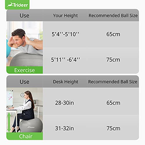 Trideer Ball Chair Yoga Ball Chair Exercise Ball Chair with Base for Home Office Desk, Stability Ball & Balance Ball Seat to Relieve Back Pain, Home Gym Workout Ball for Abs, Pregnancy Ball with Pump
