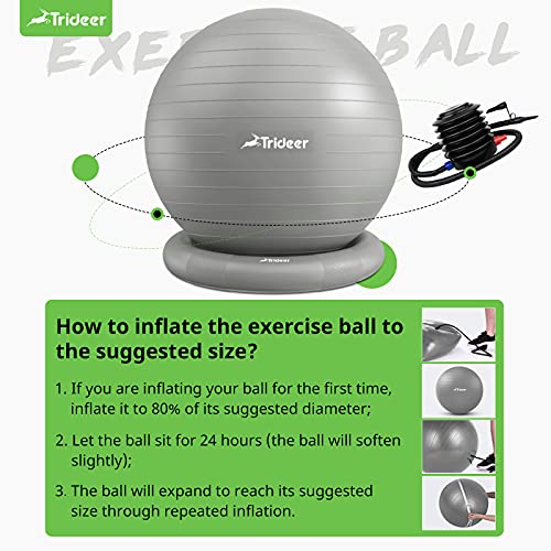 Trideer Ball Chair Yoga Ball Chair Exercise Ball Chair with Base for Home Office Desk, Stability Ball & Balance Ball Seat to Relieve Back Pain, Home Gym Workout Ball for Abs, Pregnancy Ball with Pump