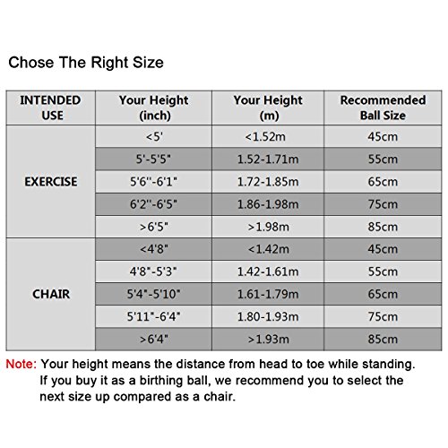 Trideer Ball Chair – Exercise Stability Yoga Ball with Base for Home and Office Desk, Ball Seat, Flexible Seating with Ring & Pump, Improves Balance, Back Pain, Core Strength & Posture（Ball with Ring