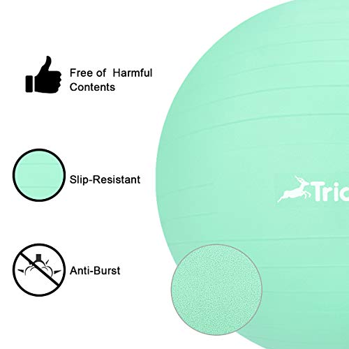 Trideer Ball Chair – Exercise Stability Yoga Ball with Base for Home and Office Desk, Ball Seat, Flexible Seating with Ring & Pump, Improves Balance, Back Pain, Core Strength & Posture（Ball with Ring