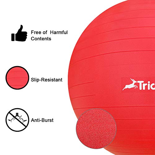 Trideer Ball Chair – Exercise Stability Yoga Ball with Base for Home and Office Desk, Ball Seat, Flexible Seating with Ring & Pump, Improves Balance, Back Pain, Core Strength & Posture