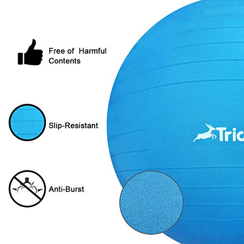 Trideer Ball Chair – Exercise Stability Yoga Ball with Base for Home and Office Desk, Ball Seat, Flexible Seating with Ring & Pump, Improves Balance, Back Pain, Core Strength & Posture（Ball with Ring