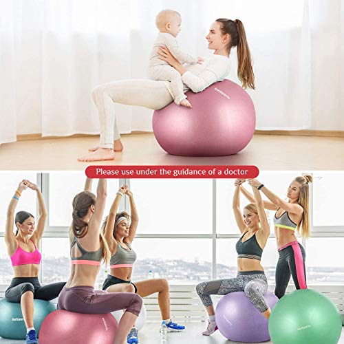Galsports Pregnancy Birthing Ball, Yoga Exercise Birth Ball Chair for Delivery & Training & Fitness, Extra Thick Non-Toxic Anti-Burst Labor Ball with Quick Pump(Dusty Rose,L(58-65cm))