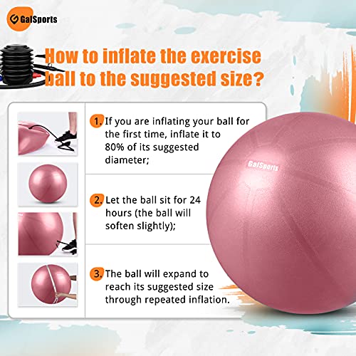 Galsports Pregnancy Birthing Ball, Yoga Exercise Birth Ball Chair for Delivery & Training & Fitness, Extra Thick Non-Toxic Anti-Burst Labor Ball with Quick Pump(Dusty Rose,L(58-65cm))