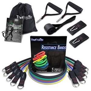 TheFitLife Exercise Resistance Bands with Handles - 5 Fitness Workout Bands Stackable up to 110 lbs, Training Tubes with Large Handles, Ankle Straps, Door Anchor Attachment, Carry Bag and Bonus eBook