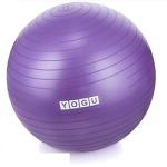 YOGU Stability Exercise Ball 65cm Yoga Balance Ball Birthing Ball with Air Pump Anti-Slip & Anti-Burst Supports 2000lbs Great for Yoga Pilates Abdominal Workout Fitness Ball and Office Chair