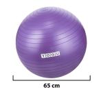 YOGU Stability Exercise Ball 65cm Yoga Balance Ball Birthing Ball with Air Pump Anti-Slip & Anti-Burst Supports 2000lbs Great for Yoga Pilates Abdominal Workout Fitness Ball and Office Chair