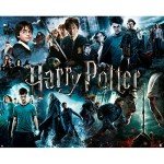 Harry Potter 1000 Piece Jigsaw Puzzle - 30in x 24in - Officially Licensed Merchandise