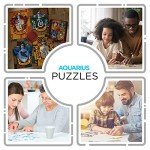 AQUARIUS Harry Potter Puzzle House Crests (1000 Piece Jigsaw Puzzle) - Officially Licensed Harry Potter Merchandise & Collectibles - Glare Free - Precision Fit - 20x28in