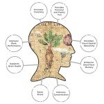 AQUARIUS Harry Potter Herbology 1000pc Puzzle (1000 Piece Jigsaw Puzzle) - Glare Free - Precision Fit - Officially Licensed Harry Potter Merchandise & Collectibles - 20x28 Inches