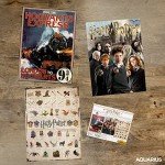 Aquarius Set of 3 Harry Potter Puzzles (Three 500 Piece Jigsaw Puzzles) - Glare Free - Precision Fit - Officially Licensed HP Merchandise & Collectibles - 14x19 Inches Each