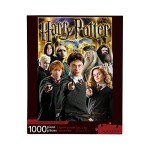 AQUARIUS Harry Potter Puzzle Character Collage (1000 Piece Jigsaw Puzzle) - Officially Licensed Harry Potter Merchandise & Collectibles - Glare Free - Precision Fit - 20x28in