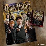 AQUARIUS Harry Potter Puzzle Character Collage (1000 Piece Jigsaw Puzzle) - Officially Licensed Harry Potter Merchandise & Collectibles - Glare Free - Precision Fit - 20x28in