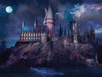FERICS 1000 Piece Jigsaw Puzzles for Adults - Magic Academy Castle Puzzle for Teens Boys Girls