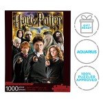 AQUARIUS Harry Potter Puzzle Character Collage (1000 Piece Jigsaw Puzzle) - Officially Licensed Harry Potter Merchandise & Collectibles - Glare Free - Precision Fit - 20x28in