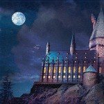 FERICS 1000 Piece Jigsaw Puzzles for Adults - Magic Academy Castle Puzzle for Teens Boys Girls