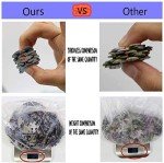 FERICS 1000 Piece Jigsaw Puzzles for Adults - Magic Academy Castle Puzzle for Teens Boys Girls