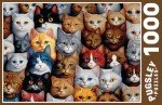 Cascading Cats 1000 Piece Jigsaw Puzzle for Adults, 27.6” x 19.7” (Cat Puzzle)