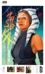 Buffalo Games - Star Wars - Jedi Warrior - 500 Piece Jigsaw Puzzle for Adults -Challenging Puzzle Perfect for Game Nights - Finished Size is 21.25 x 15.00