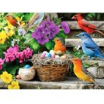 300 Piece Puzzle for Adults, Colorful Birds Jigsaw Puzzle, Colorful Hummingbird Puzzles, Bird Lover Challenging Puzzles for Friends Family Activity Game Nights Gifts, 20.5x15 in